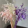 Dried Flowers78352