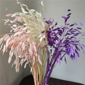 Dried Flowers78352