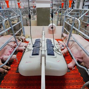 Farming Facilities & Whole Farm Setup4310