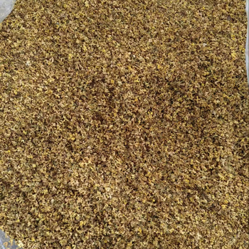 Blooming Flower Tea78389