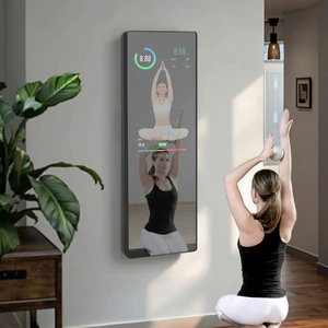 Fitness Mirrors8646