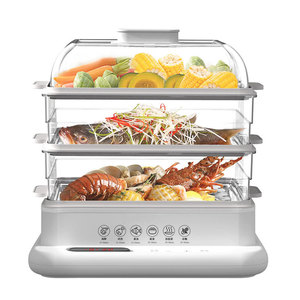 Electric Steam Cookers10074