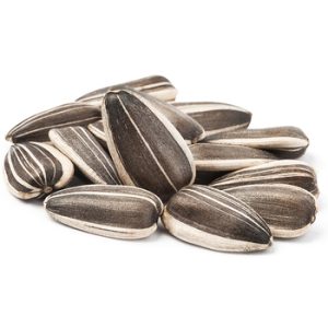 Sunflower Seed Kernels78495