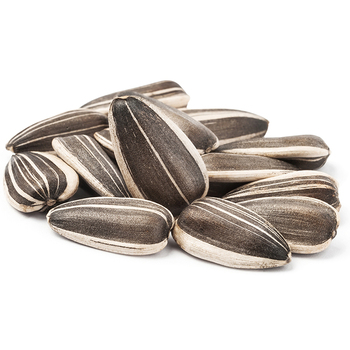 Sunflower Seed Kernels78495