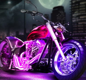 Motorcycle Trim Mouldings14466