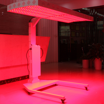 Red Light Bed81968