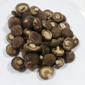 Mushroom & Enzyme Supplement80444