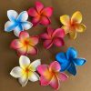 Hair Bobby Pin79930