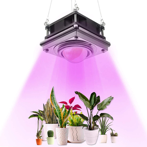 Plant Grow LED Lights11063