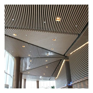 Ceiling Panels1495