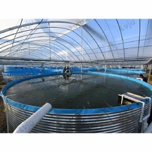 Shrimp transportation equipment Factory Code 21510
