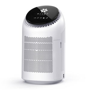 Smart Air Purifiers254