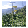 Insect Killer Traps6308
