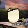 Other Solar Lighting Fixtures5417