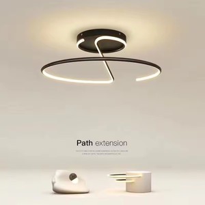 Ceiling Mount Lights4308