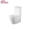 Siphon Flush Toilets2326
