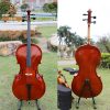 Cello Musical Instruments4981