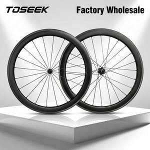 Bicycle Wheel Assemblies8952