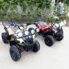 Electric ATV27492