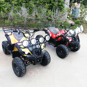 Electric ATV27492