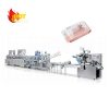 Wet Wipe Making Machines1345