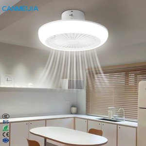 Ceiling Fan Lights5970