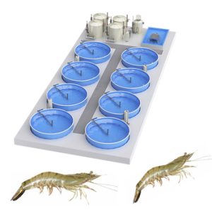 Equipment for shrimp industry free port Factory Code 9776