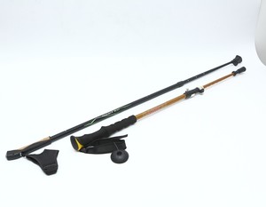 Ski Poles6067