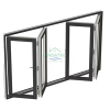 Folding Windows1665
