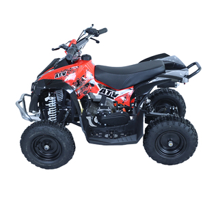 ATV & UTV Quad Bikes2596