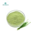 Rye Grain Crop5235