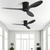 Ceiling Fan11194