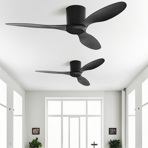 Ceiling Fan11194