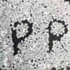Polypropylene Fiber78884