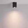 Outdoor Ceiling Light Fixtures10513