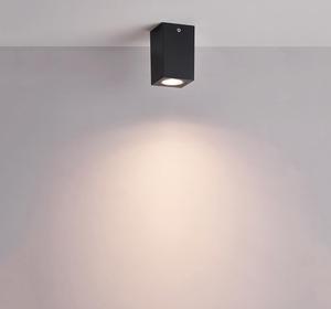 Outdoor Ceiling Light Fixtures10513