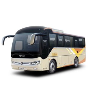 City Public Bus78295
