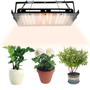 Fresh Produce LED Lights2724