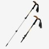 Ski Poles19686