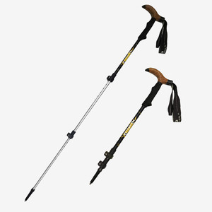 Ski Poles19686