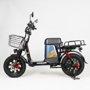 Cargo Load Bicycles14785