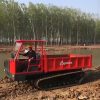 ATV & UTV Quad Bikes3806