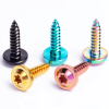 Screws80711