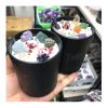 Crystal Candles14551