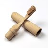 Travel Disposable Toothbrushes15581