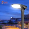 Solar LED Light85781