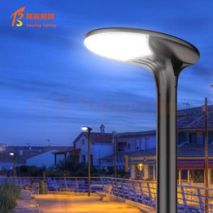 Solar LED Light85781