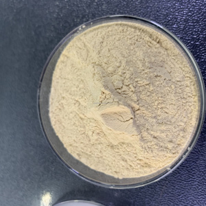 Construction Gypsum Plaster Powder5225