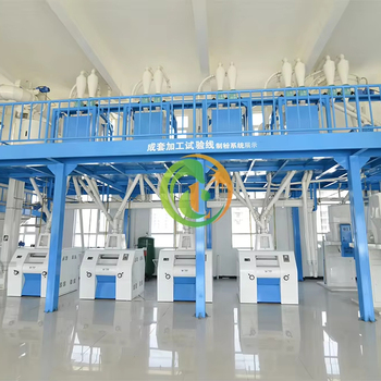 Wheat Flour81837