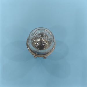 Halogen Lamp8186